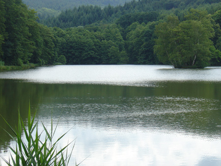 DSC02693