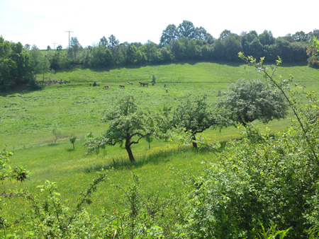 DSC00045