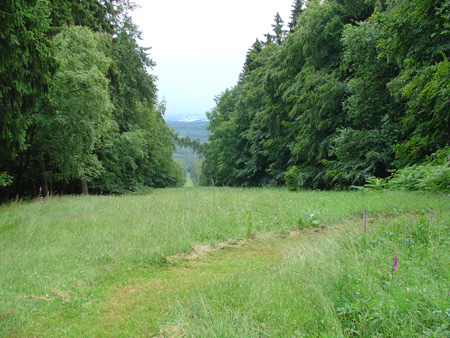 DSC04127