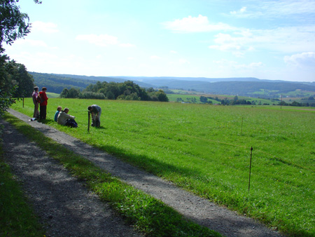 DSC00052