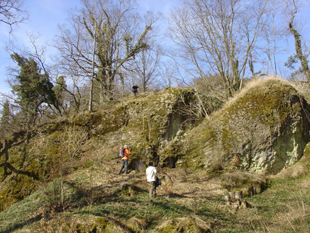 DSC00176