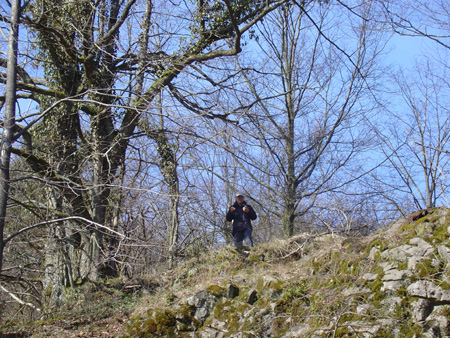 DSC00178