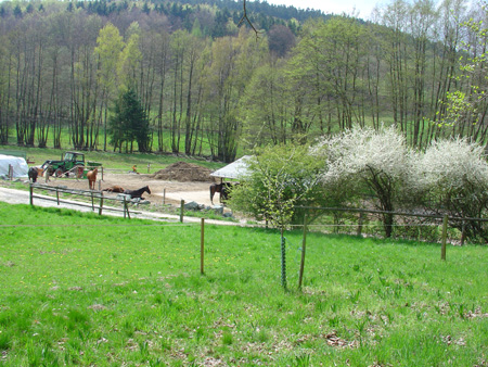 DSC00182