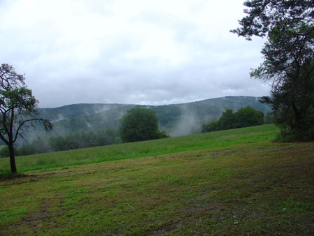 DSC00500
