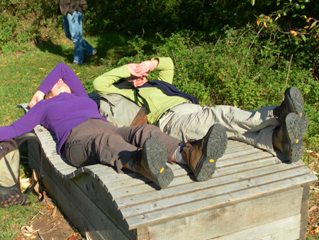2011.10.16 Wanderung Gr.Umstadt 021