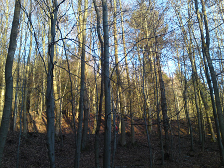 DSC00404