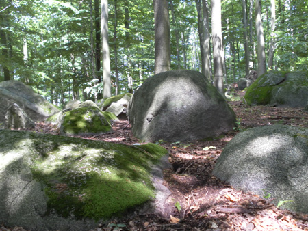 Juni-Juli 2012 022