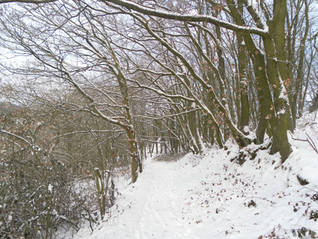 Wanderung Januar 2013 020