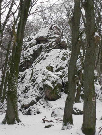 Wanderung Januar 2013 023