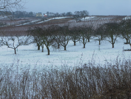 Wanderung Januar 2013 032