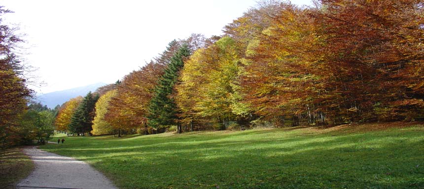 herbstlich